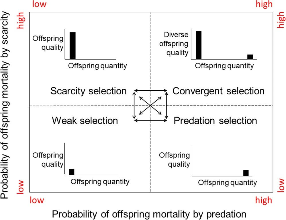 A species classification system for animals. The proposed classification scheme links divergent natural selection processes, predation and scarcity respectively, to the evolution of breeder investments in offspring quantity and offspring quality.